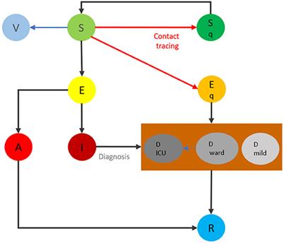 Optimal Reopening Pathways With COVID-19 Vaccine Rollout and Emerging Variants of Concern